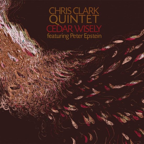 Cover for Chris Clark · Cedar Wisely (CD) (2013)