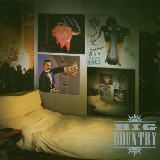 Cover for Big Country · Undercover (CD) (2001)