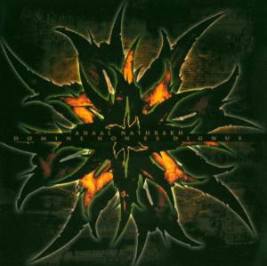 Cover for Anaal Nathrakh · Domine Non Es Dignus (CD) (2004)