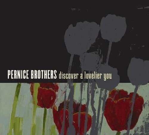 Discover a Lovelier You - Pernice Brothers - Musikk - POP - 0827954043927 - 20. april 2010