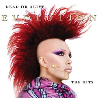 Cover for Dead or Alive · Evolution: the Hits (CD) (2003)