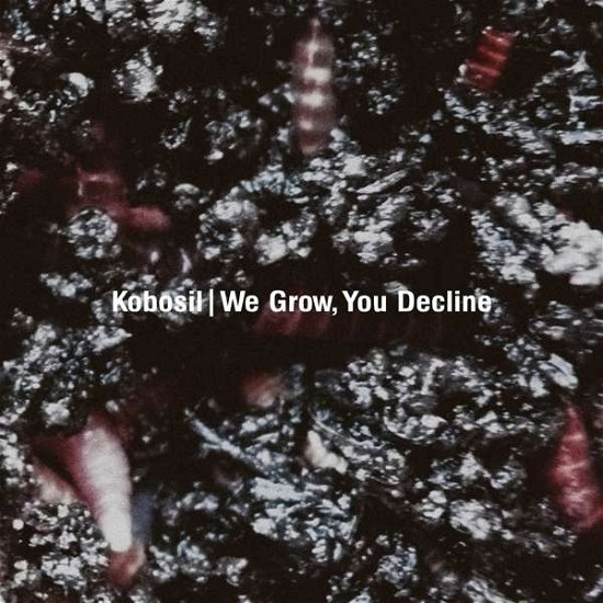 We Grow You Decline - Kobosil - Musik - OSTGUT TON - 0880319726927 - 5. februar 2016