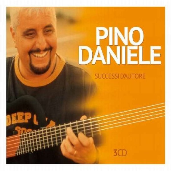 Cover for Pino Daniele · Successi D'autore (CD) (2012)