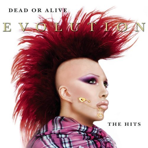 Cover for Dead or Alive · Evolution (CD) (2006)