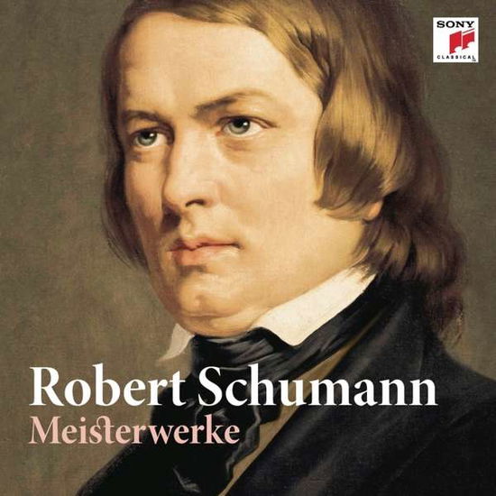 Cover for Schumann · Meisterwerke,CD (Bog) (2016)