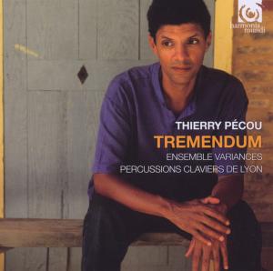 Cover for Pécou Thierry · Tremendum (CD) (2012)