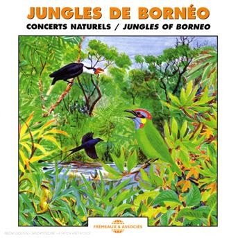 Cover for Jungles De Borneo - Concerts Naturels · Jungles Of Borneo (CD) (2018)