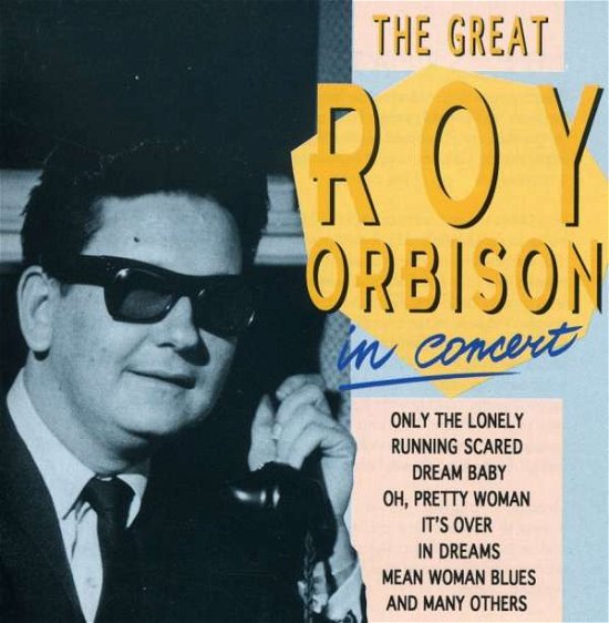 In Concert - Roy Orbison - Musiikki -  - 8712177014927 - 