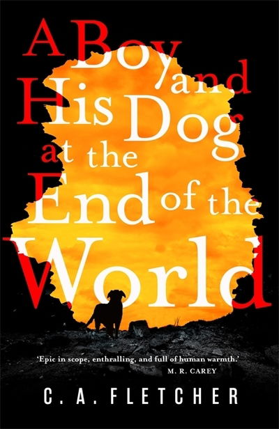 Cover for C. A. Fletcher · A Boy and his Dog at the End of the World (Paperback Book) (2019)