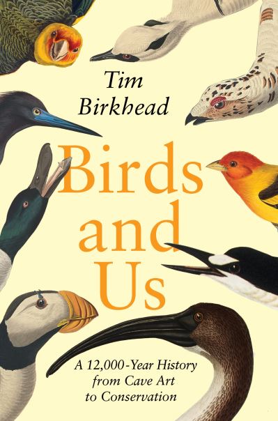 Cover for Tim Birkhead · Birds and Us (Hardcover Book) (2022)