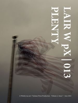 Cover for Wetdryvac · LAIR W pX 013 Plenty (Hardcover bog) (2024)