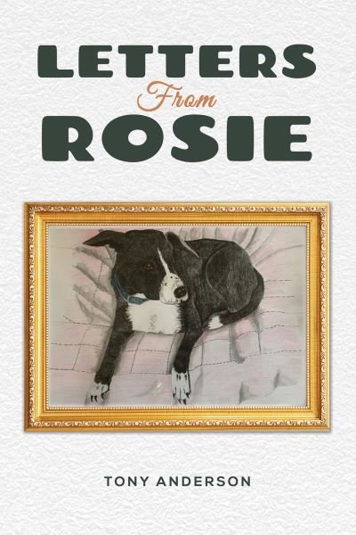 Cover for Tony Anderson · Letters from Rosie (Paperback Book) (2024)