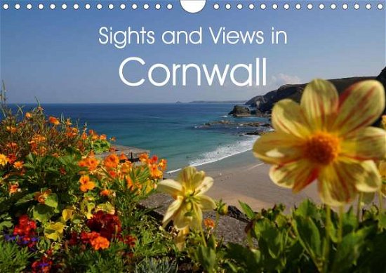 Cover for Schaefer · Sights and Views in Cornwall ( (Book)