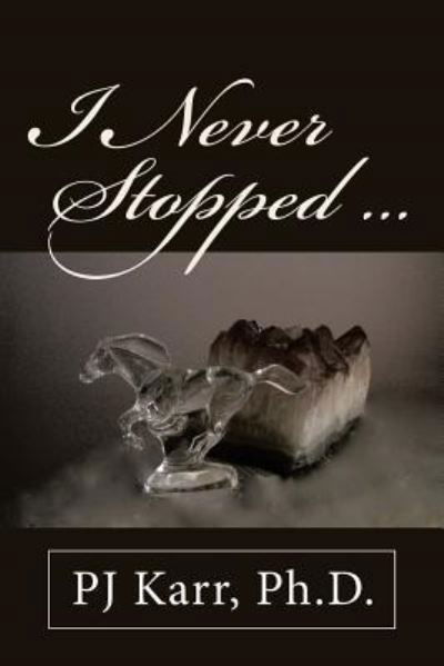 I Never Stopped . . . - Pj Karr - Books - Archway Publishing - 9781480834927 - August 15, 2016