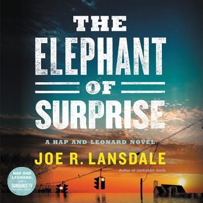 Cover for Joe R Lansdale · The Elephant of Surprise Lib/E (CD) (2019)