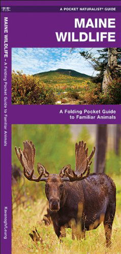 Cover for James Kavanagh · Maine Wildlife: a Folding Pocket Guide to Familiar Species (Pocket Naturalist Guide Series) (Pamphlet) [Lam Crds edition] (2017)