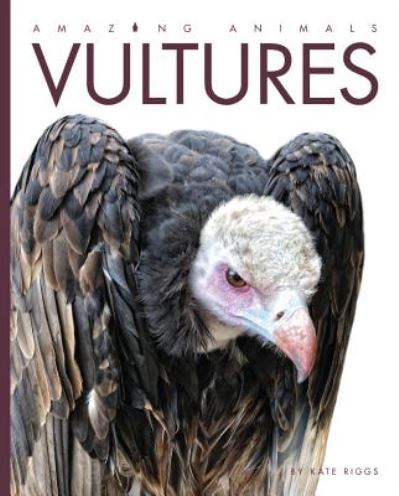 Cover for Kate Riggs · Amazing Animals: Vultures (Hardcover Book) (2015)