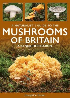 Cover for Josephine Bacon · A Naturalist's Guide to the Mushrooms of Britain and Northern Europe - Naturalists' Guides (Paperback Book) (2025)