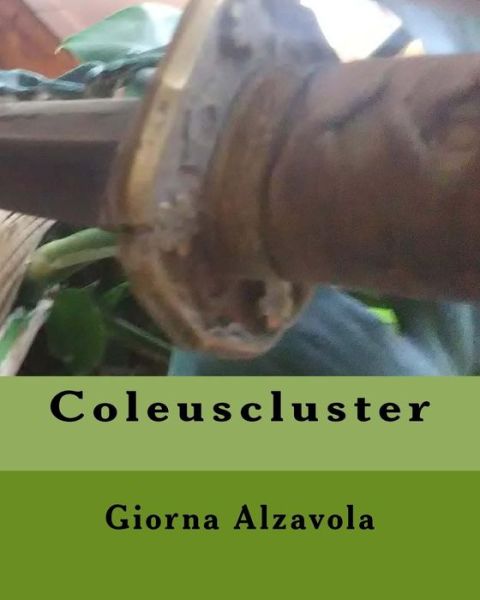 Cover for Giorna Alzavola · Coleuscluster (Paperback Book) (2017)