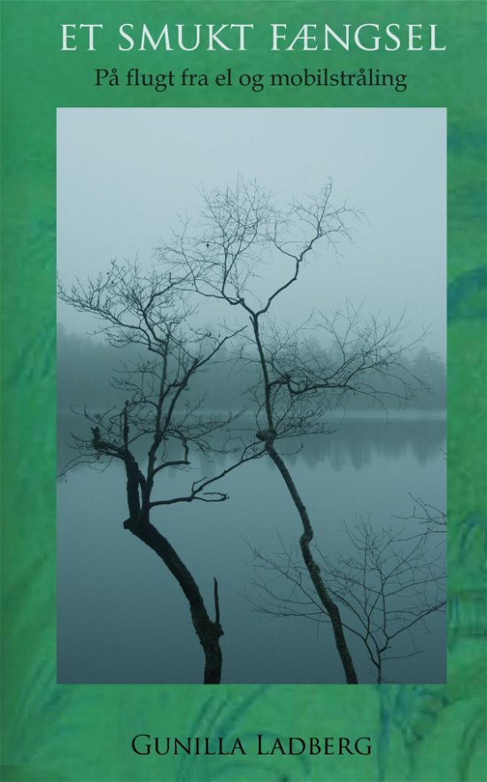 Cover for Eva Theilgaard Jacobsen · Et Smukt Fængsel (Paperback Book) (2018)