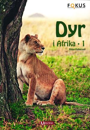 Cover for Rikke Folkersen · Fokus: Dyr I Afrika 1 (Sewn Spine Book) [1st edition] [Indbundet] (2013)