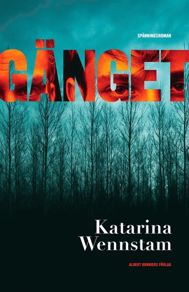 Cover for Katarina Wennstam · Charlotta Lugn och Shirin Sundin: Gänget (ePUB) (2017)