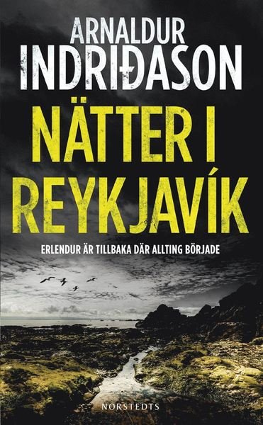 Cover for Arnaldur Indridason · Erlendur Sveinsson: Nätter i Reykjavik (Hörbok (MP3)) (2014)