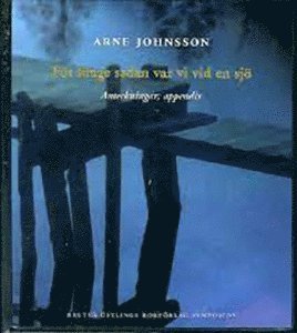 Cover for Arne Johnsson · För länge sedan var vi vid en sjö : anteckningar; appendix (Bound Book) (2000)