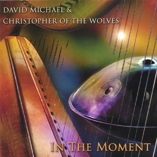 In the Moment - David Michael - Musik - CD Baby - 0008328101928 - 10 maj 2005