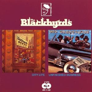 City Life Unfinished - Blackbyrds - Muziek - BEAT GOES PUBLIC - 0029667278928 - 1 oktober 1994