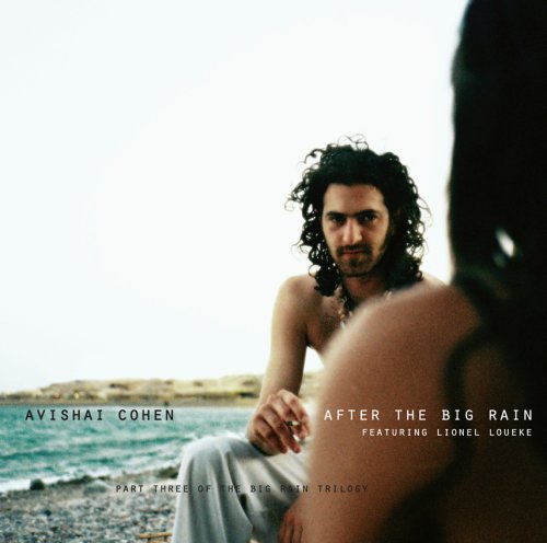 Cover for Avishai Cohen · Avishai Cohen - After The Big Rain (CD) [Digipak] (2017)