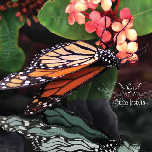 Cover for Ikue Mori · Class Insecta (CD) (2009)