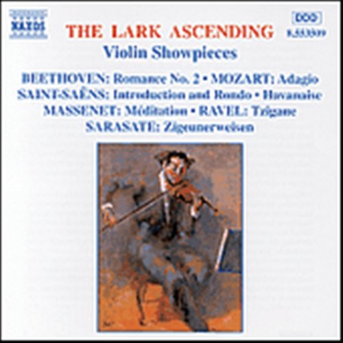 Lark Ascending / Various - Lark Ascending / Various - Music - NAXOS - 0730099450928 - May 13, 1997