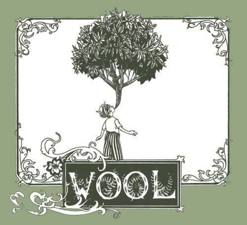 Cover for Nick Jaina · Wool (CD) (2008)