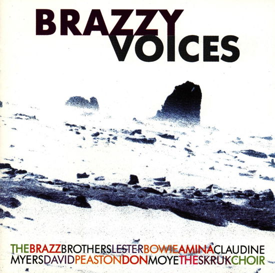 Bowie, Lester / Brazz Broth · Brazzy Voices (CD) (2011)