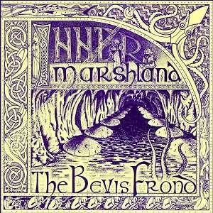 Inner Marshland - The Bevis Frond - Muziek - FIRE - 0809236102928 - 11 augustus 2016