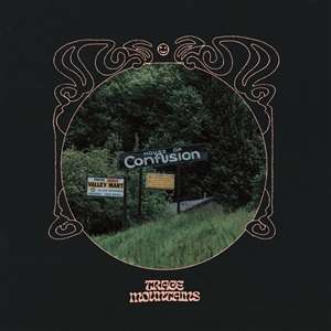 House Of Confusion (Pink Vinyl) - Trace Mountains - Música - LAME-O/RUN FOR COVER - 0811408038928 - 11 de março de 2022