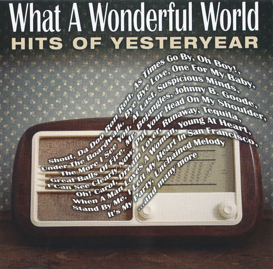 What a Wonderful World: Hits of Yesteryear - V/A - Musiikki - SONY MUSIC - 0888750780928 - perjantai 10. huhtikuuta 2015