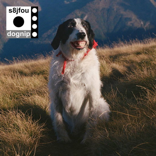Cover for S8jfou · Dognip (CD) (2025)