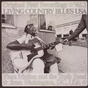 Cover for Living Country Blues Usa · Original Field Rec Vol. 3 (CD) (2008)