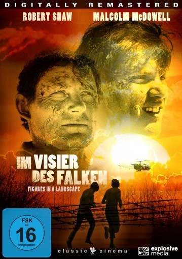 Cover for Joseph Losey · Im Visier des Falken,DVD.6414392 (Book) (2013)