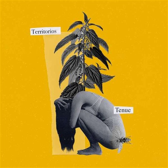 Cover for Tenue · Territorios (CD) (2021)