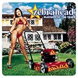 Cover for Zebrahead · Playmate Of The Year (CD) (2005)