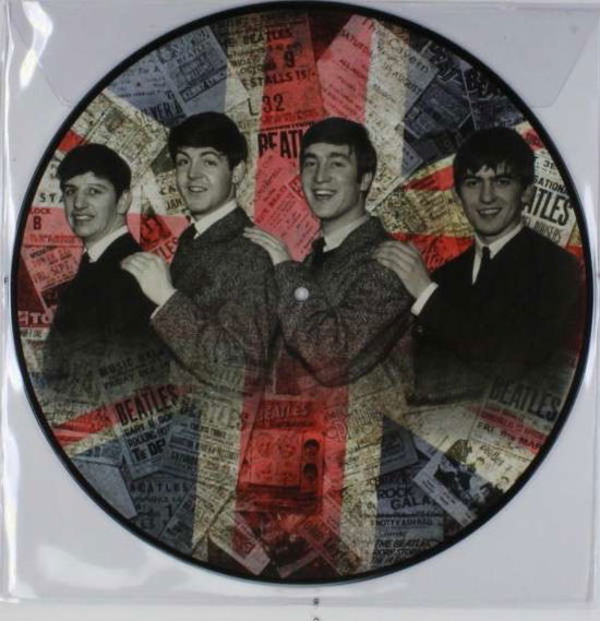 Cover for The Beatles · In the Beginning -pd- (LP) [Picture Disc edition] (2014)