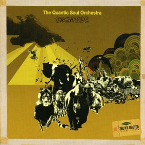 Stampede - Quantic Soul Orchestra the - Música - TRU THOUGHTS - 5050491005928 - 12 de março de 2009