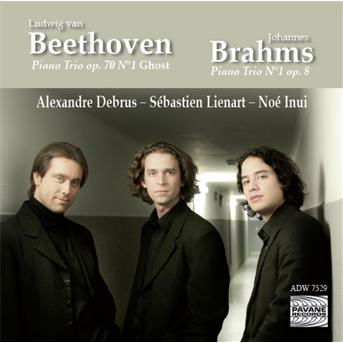 Piano Trio Op.70 - Beethoven / Brahms - Musik - PAVANE - 5410939752928 - 2011