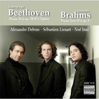 Piano Trio Op.70 - Beethoven / Brahms - Muziek - PAVANE - 5410939752928 - 2011
