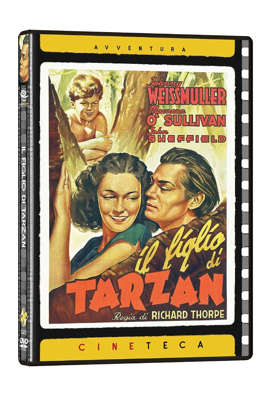 Cover for Figlio Di Tarzan (Il) (DVD) (2021)