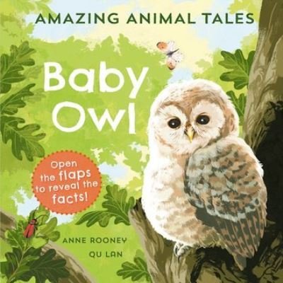 Cover for Anne Rooney · Amazing Animal Tales: Baby Owl (Hardcover Book) (2023)