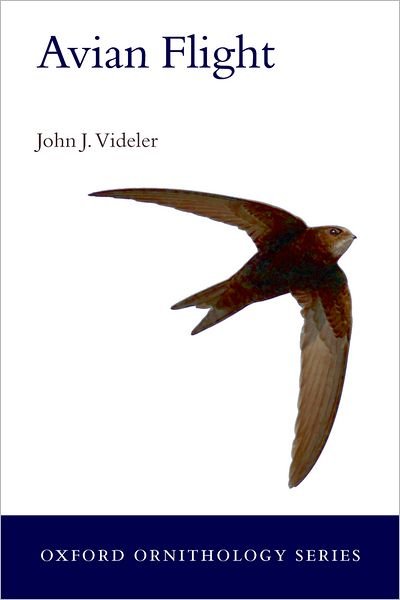 Cover for John J. Videler · Avian Flight - Oxford Ornithology Series (Taschenbuch) (2006)